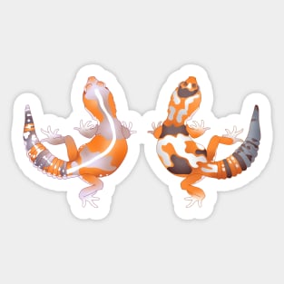 African Fat Tailed Gecko Pattern Sticker